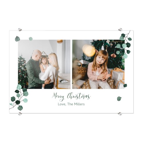 Wedding Plants Wedding Plants