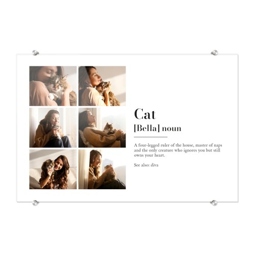 Dictionary Definition with 6 Photos