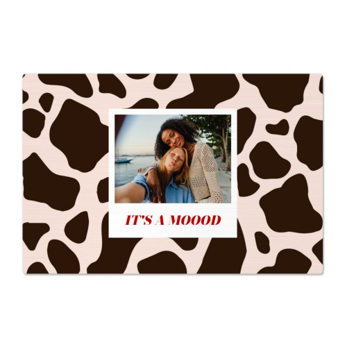 Photo Print Animal Pattern Photo Print Animal Pattern