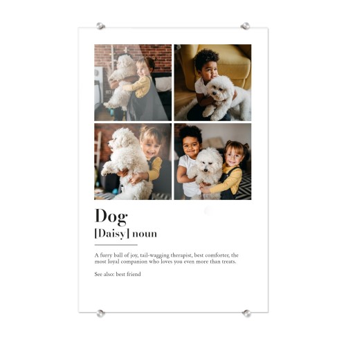 Dictionary Definition with 4 photos