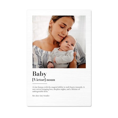 Dictionary Definition