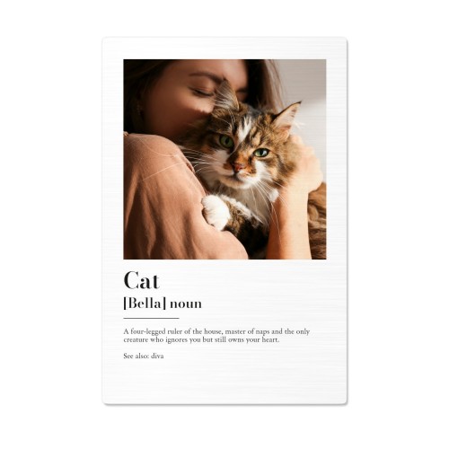 Dictionary Definition