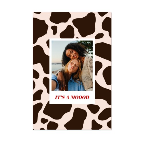 Photo Print Animal Pattern