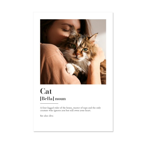 Dictionary Definition