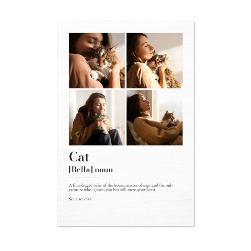 Dictionary Definition with 4 photos