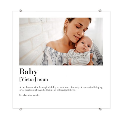 Dictionary Definition