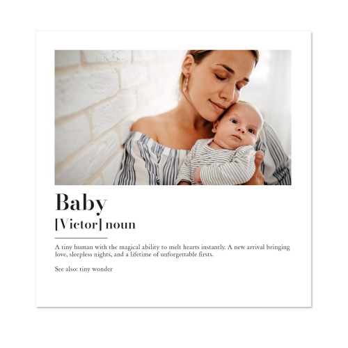 Dictionary Definition