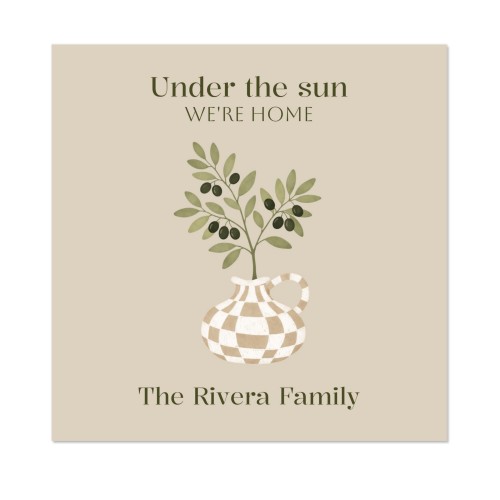 Olive Branch Design Olive Branch Design