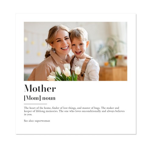 Dictionary Definition