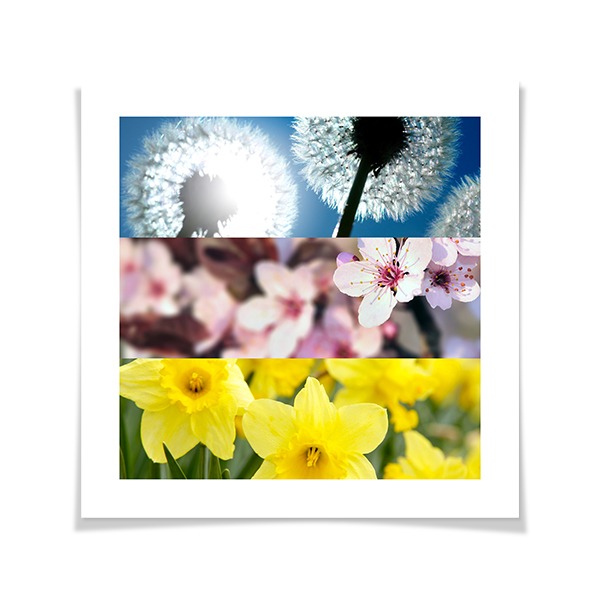 Collage Poster 30 x 30 cm Matte