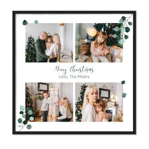 Wedding Plants Wedding Plants