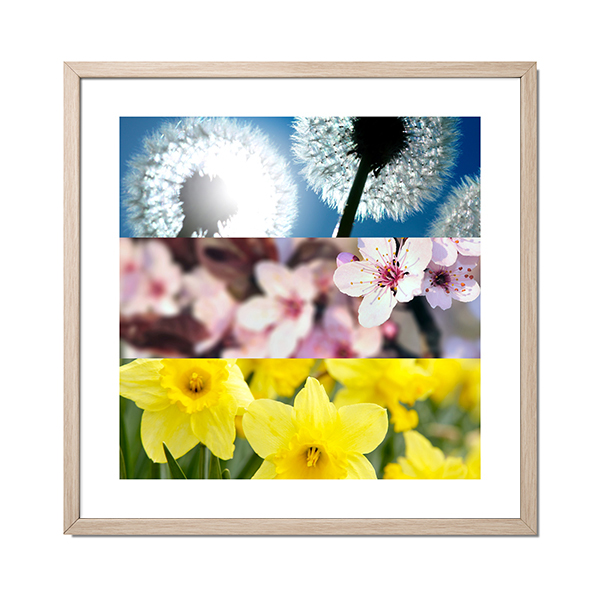 3PanoFramedText 3PanoFramedText