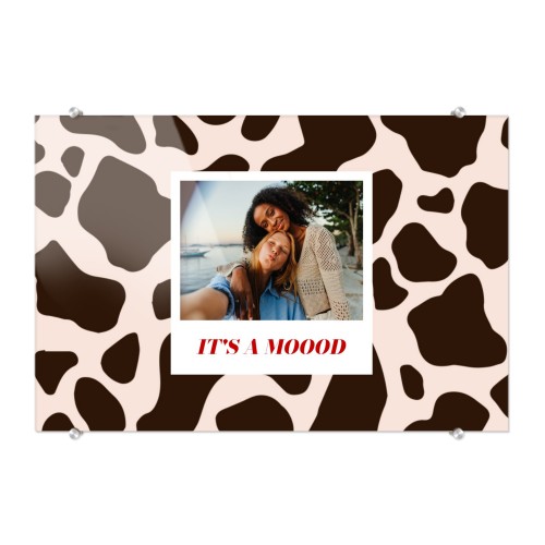 Photo Print Animal Pattern