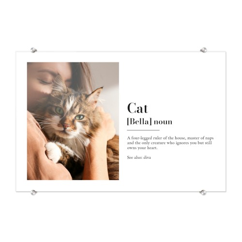 Dictionary Definition