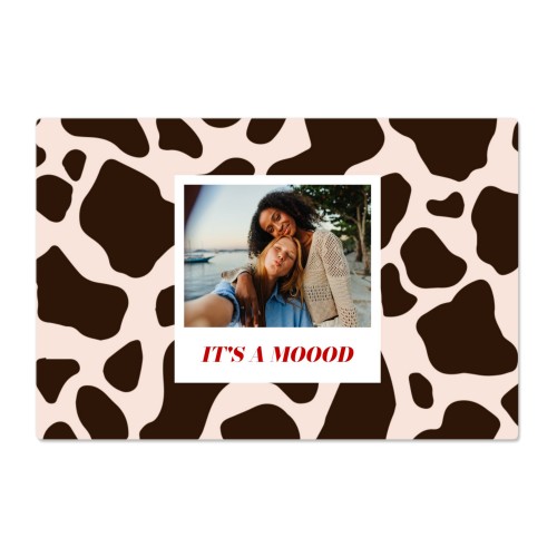 Photo Print Animal Pattern