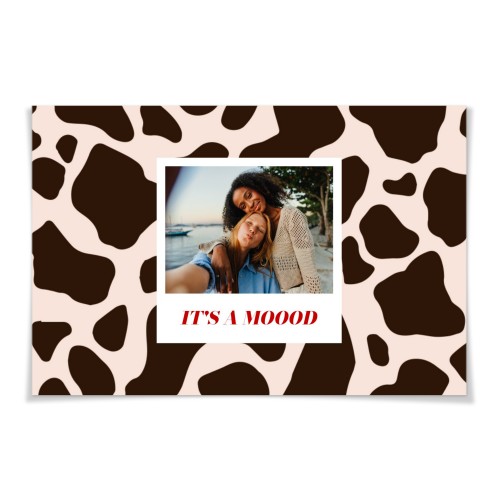 Photo Print Animal Pattern Photo Print Animal Pattern