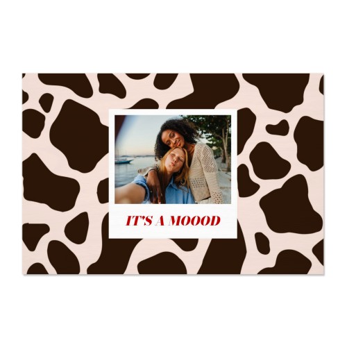 Photo Print Animal Pattern