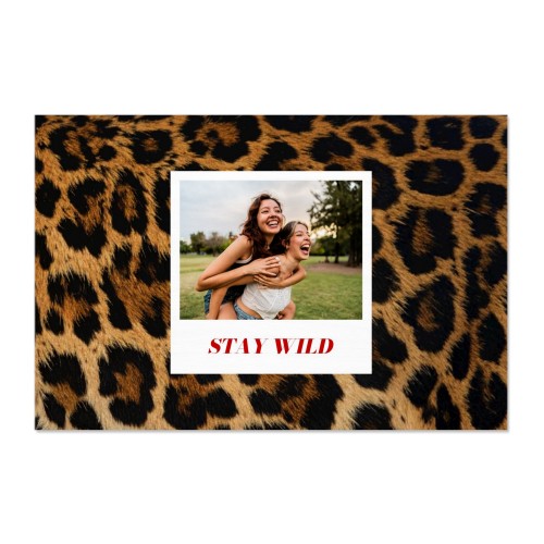 Photo Print Animal Pattern
