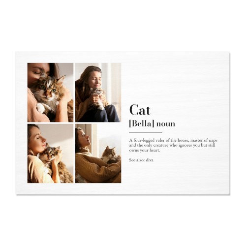 Dictionary Definition with 4 photos