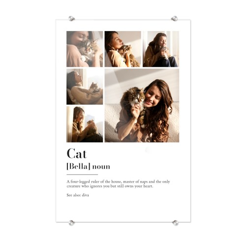 Dictionary Definition with 6 Photos