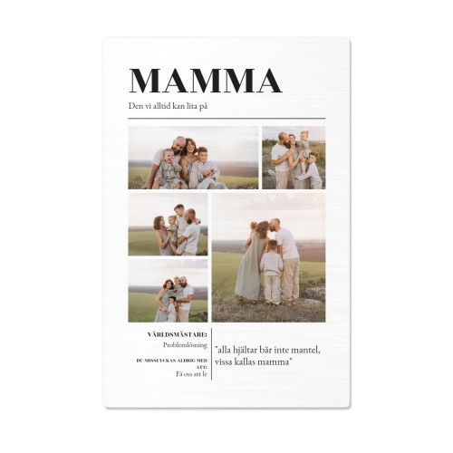 Aluminiumsbilde børstet overflate 30 x 45 cm