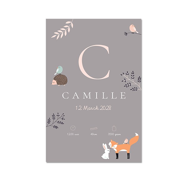 Alu Poster 30 x 45 cm