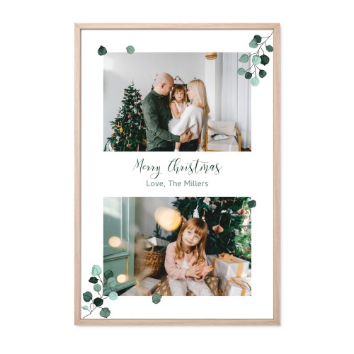 Wedding Plants Wedding Plants