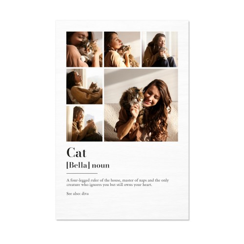 Dictionary Definition with 6 Photos