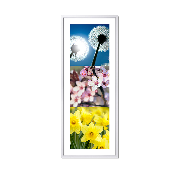 Klassisches Fototrio Klassisches Fototrio