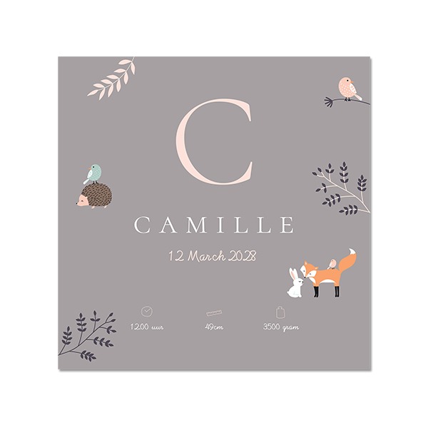 Foto op forex 40 x 40 cm