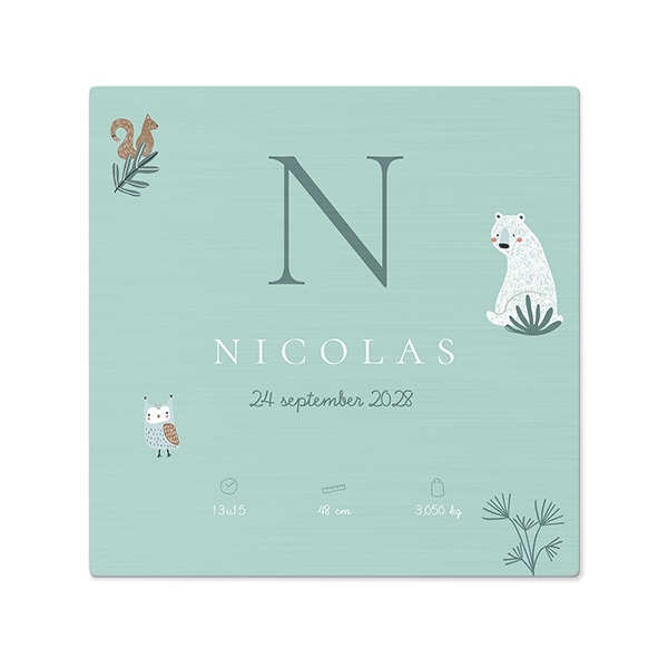 Foto op aluminium geborsteld 40 x 40 cm Foto op aluminium geborsteld 40 x 40 cm