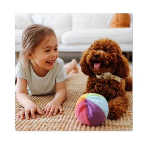 Photo Only Photo Only