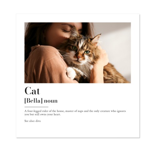 Dictionary Definition Dictionary Definition