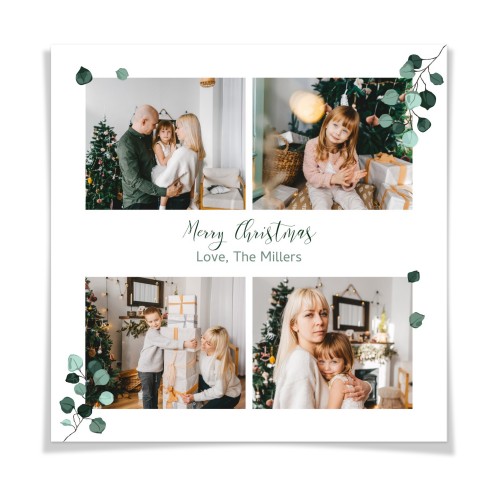 Wedding Plants Wedding Plants