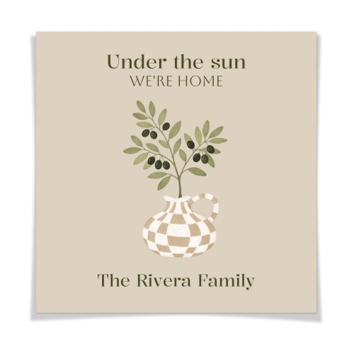 Olive Branch Design Olive Branch Design