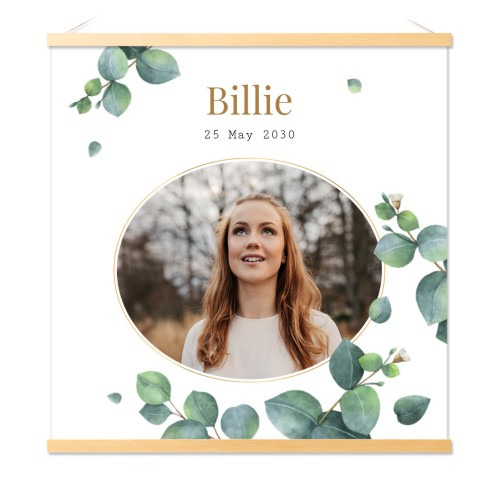 Eucalyptus Leaves Eucalyptus Leaves