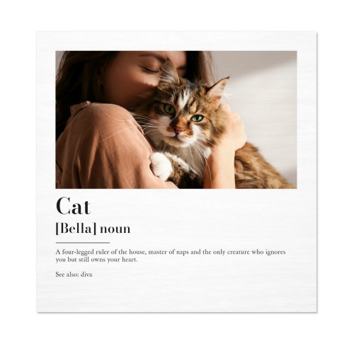 Dictionary Definition Dictionary Definition