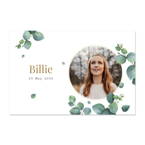 Eucalyptus Leaves Eucalyptus Leaves