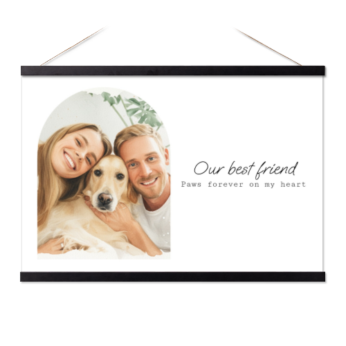 Arch Photo Filter Arch Photo Filter