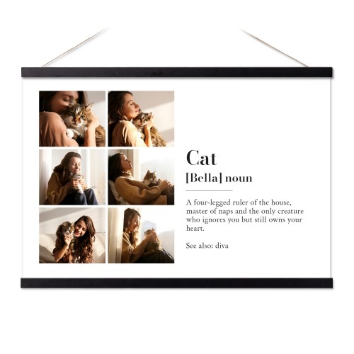 Dictionary Definition with 6 Photos