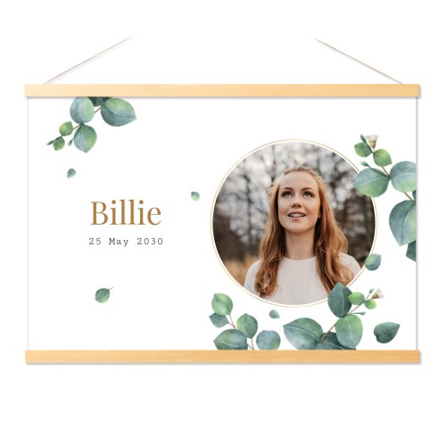 Eucalyptus Leaves Eucalyptus Leaves