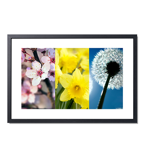 3PanoFramedText 3PanoFramedText