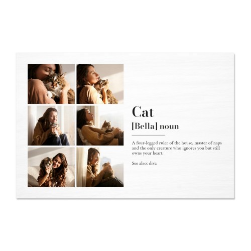 Dictionary Definition with 6 Photos