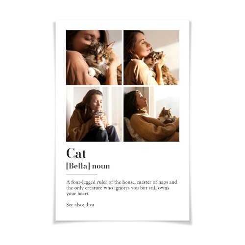 Dictionary Definition with 4 photos