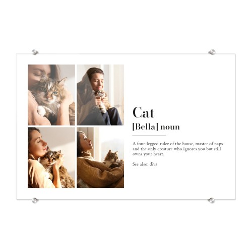 Dictionary Definition with 4 photos Dictionary Definition with 4 photos