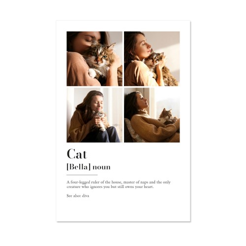 Dictionary Definition with 4 photos Dictionary Definition with 4 photos