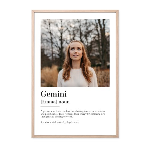 Dictionary Definition