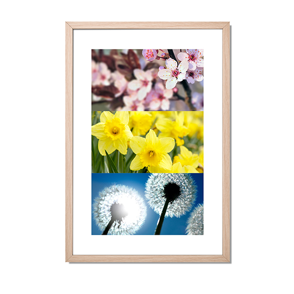 3PanoFramedText 3PanoFramedText