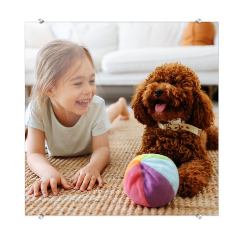 Photo Only Photo Only