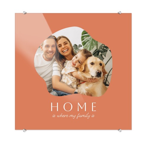 Organic Shape Warm Minimalism Organic Shape Warm Minimalism